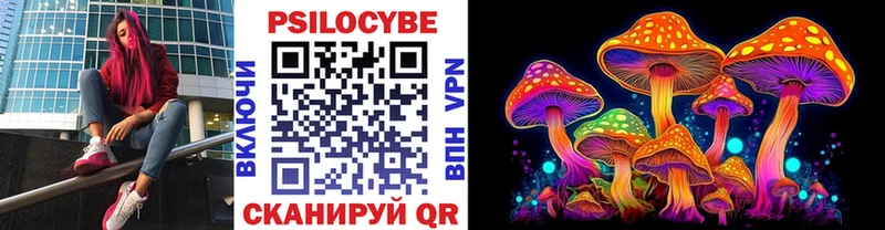 Галлюциногенные грибы Cubensis Черняховск